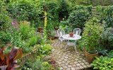 How to Get Maximum Advantages from Your Small Garden