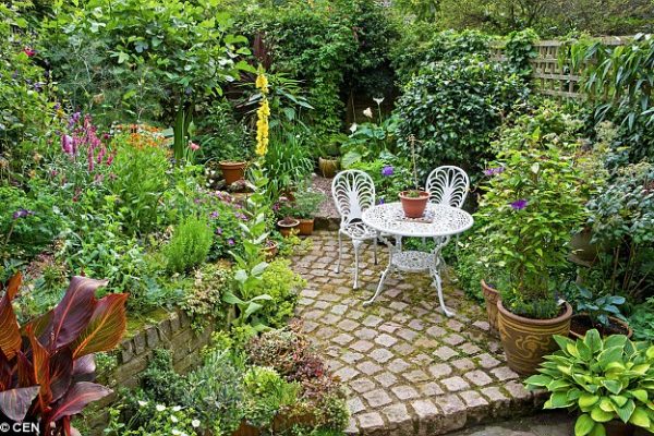 How to Get Maximum Advantages from Your Small Garden