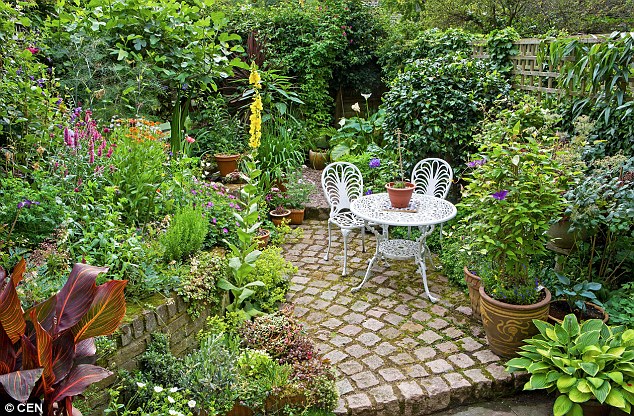 How to Get Maximum Advantages from Your Small Garden