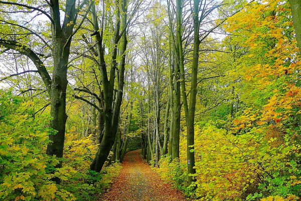 Winding Roads: Most Scenic Road Trips In The Northeast