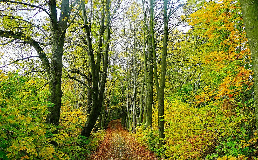 Winding Roads: Most Scenic Road Trips In The Northeast