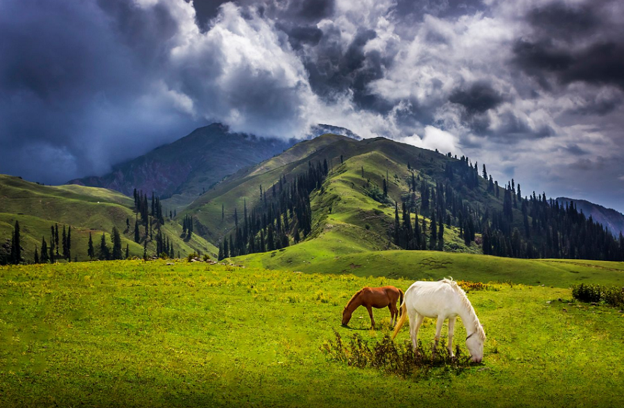 Top 5 Dazzling Places To Visit Naran Kaghan In 2018