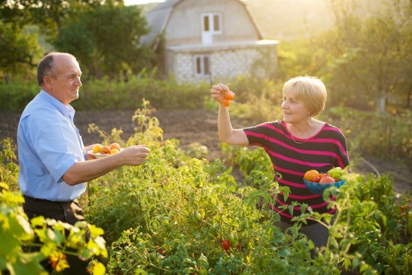 Top Things To Do Post-Retirement, So Don't Let It Get You Down!