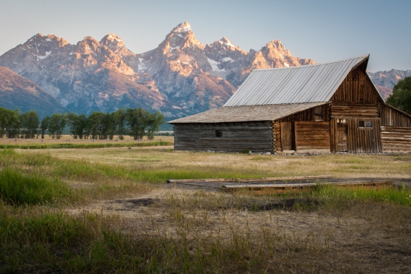 How To Know How Much Land You Need For Your Homesteading Plans